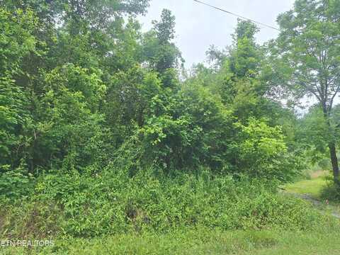 274/278 Laurel Mountain Loop, Madisonville, TN 37354