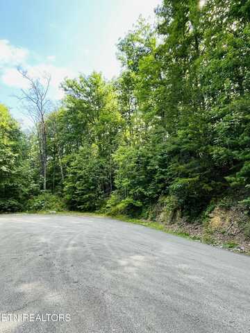 Redtail Rd, Sevierville, TN 37862