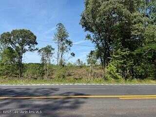 13107 Hamlet Mill Road Rd, Daviston, AL 36256