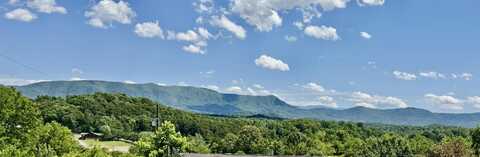 320 Hance Way, Dandridge, TN 37725