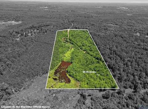 Shady Grove Road, Jefferson, TX 75657