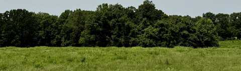 HERRON, Somerville, TN 38068