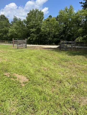 HERRON, Somerville, TN 38068