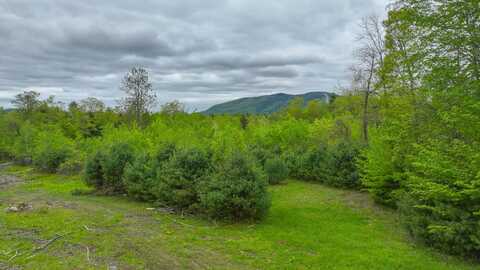 0 Whitney Road, Bridgton, ME 04009