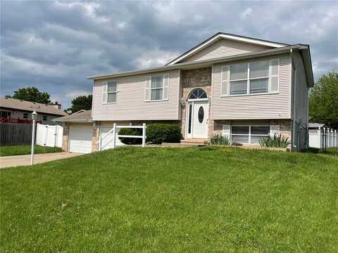 334 Saint Rose Drive, Godfrey, IL 62035