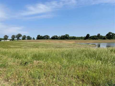 0 Tract 3 County Road 260/262, Bloomfield, MO 63825