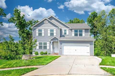 64 Huntleigh Park Court, Wentzville, MO 63385