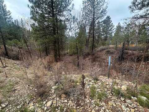 L51 Lily Loop unit: 51, Idaho City, ID 83631