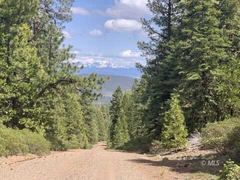 Railroad Flat Dr, Alturas, CA 96101