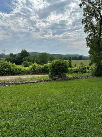 91 Wayne 454, Piedmont, MO 63957