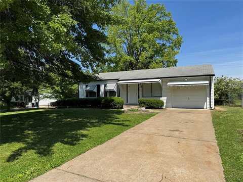 1341 Criterion Avenue, Saint Louis, MO 63138