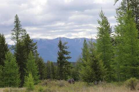 Meadow Springs lot: 1A, Fortine, MT 59918