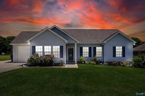 16290 Log Cabin Road, Athens, AL 35611