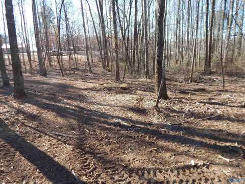 4 Acres Horizon Street, Sylvania, AL 35988