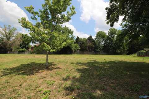 229 Brooklet Court, Huntsville, AL 35806