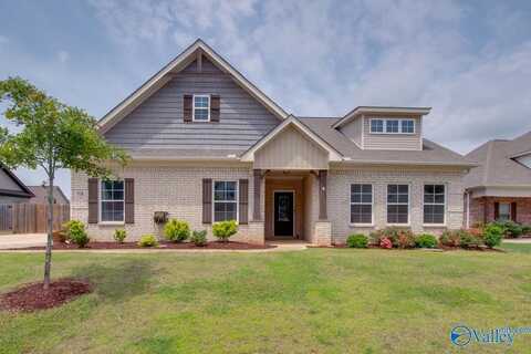 108 Ivy Vine Drive, Toney, AL 35773