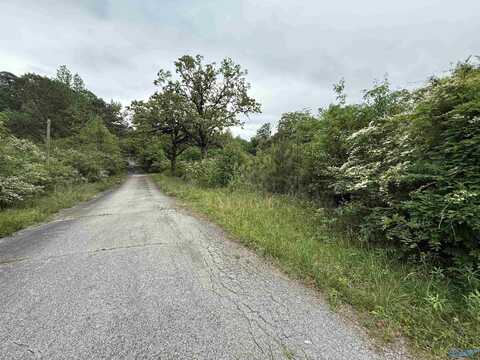 16 Acres Tol Street, Centre, AL 35960