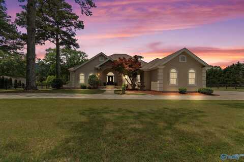 156 South Green Mountain Road, Owens Cross Roads, AL 35763
