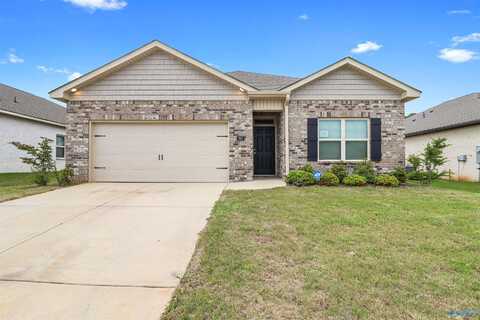 207 Antler Ridge Drive, Huntsville, AL 35811