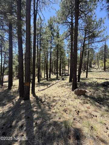 1575 Pine Meadow Drive, Williams, AZ 86046