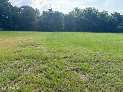 Seaside Oaks Drive, Pass Christian, MS 39571