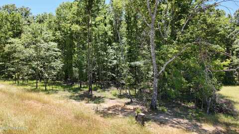Stout Meadows Lane, Madison, MS 39110