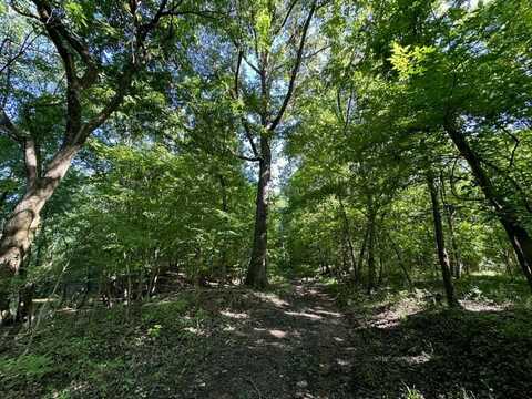 0 Bellville Rd., Providence, KY 42450