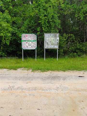 228 Atkins, Crescent City, FL 32139
