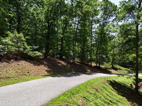 Lot 43 Cherrywood Hill, Blairsville, GA 30512