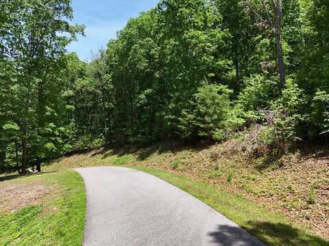 Lot 45 Cherrywood Hill, Blairsville, GA 30512