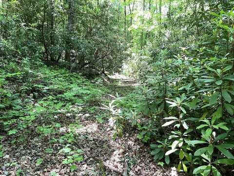 Cold Springs Lane, Hayesville, NC 28904