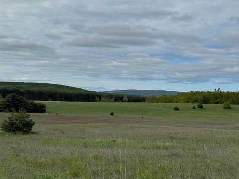 TBD Nichols, Pellston, MI 49769