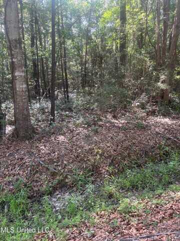 Cantania/Ridge Road, Bay Saint Louis, MS 39520