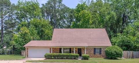 828 Briarwood Drive, Jackson, MS 39211