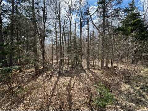 74 Antler Loop, Dover, VT 05356