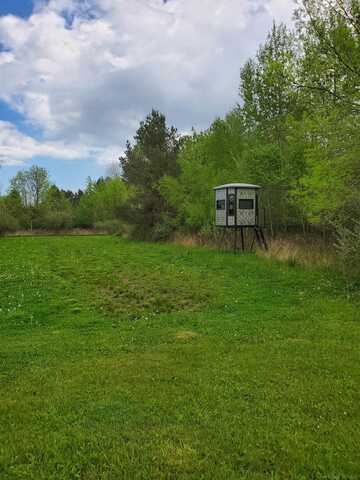 TBD Phipps, Carsonville, MI 48419