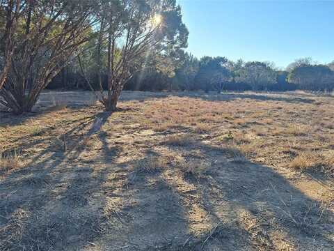 1113 County Road 407, Nemo, TX 76070