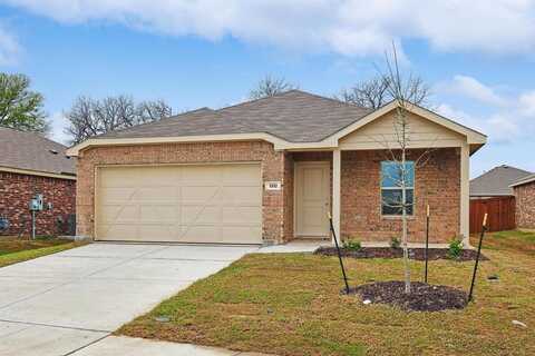 1312 Claireborne Court, Little Elm, TX 75068