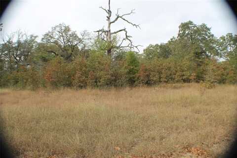 26 Boca Chica, Malakoff, TX 75148