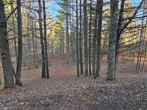 16 Merlin Trail, MURPHY, NC 28906