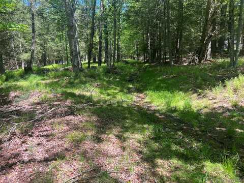 95 Old Tacy Road, Swan Lake, NY 12783