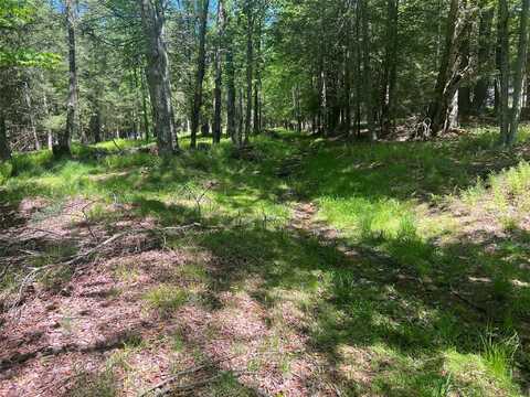 95 Old Tacy Road, Swan Lake, NY 12783