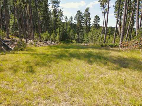TBD Wasp Road, Lead, SD 57754