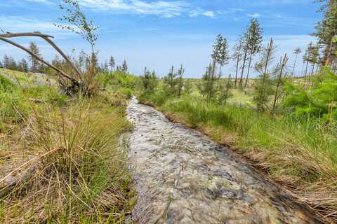 Lot 11 Roaring Lion Road, Hamilton, MT 59840