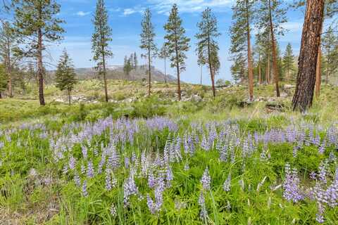Lot 8 Roaring Lion Road, Hamilton, MT 59840