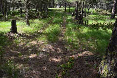 520 Bald Rock Road, Kalispell, MT 59901