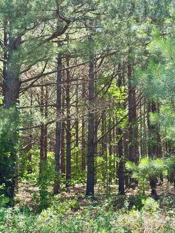 0 Sheppard Rd, Tennille, GA 31089