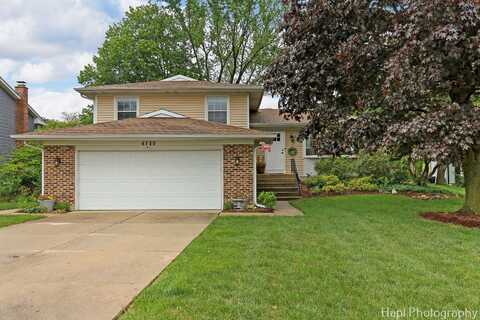 4125 Victoria Drive, Hoffman Estates, IL 60192