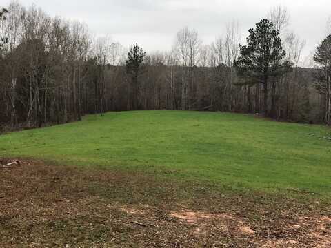 0 Pinhook Road, Demopolis, AL 36732