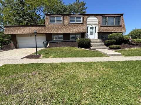 20084 Brook Avenue, Lynwood, IL 60411